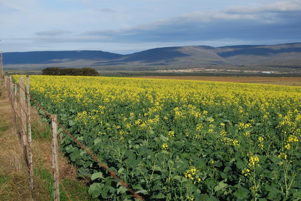 Anna'S Farm Stay Slangrivier Экстерьер фото